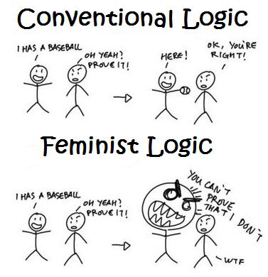 feministlogic