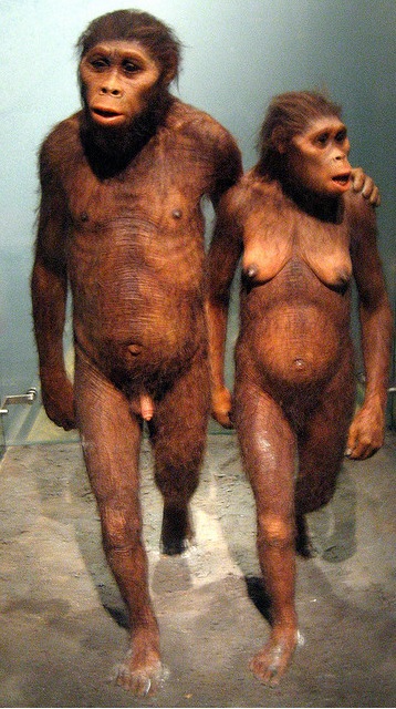 Hominid couple