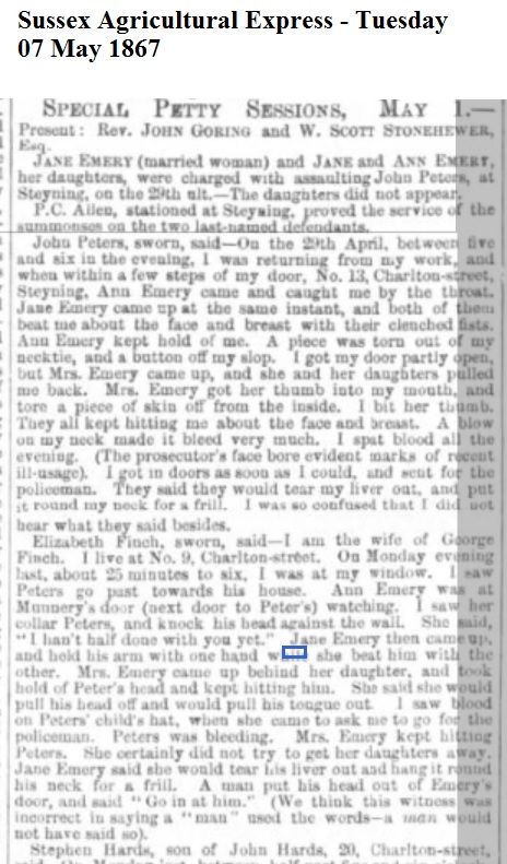 1867 Sussex Agricultural Express - Tuesday 07 May 1867